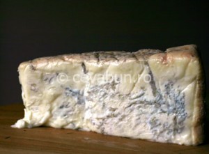 gorgonzola