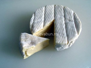 camembert