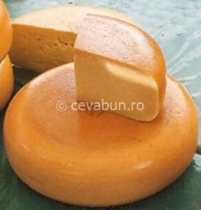 gouda