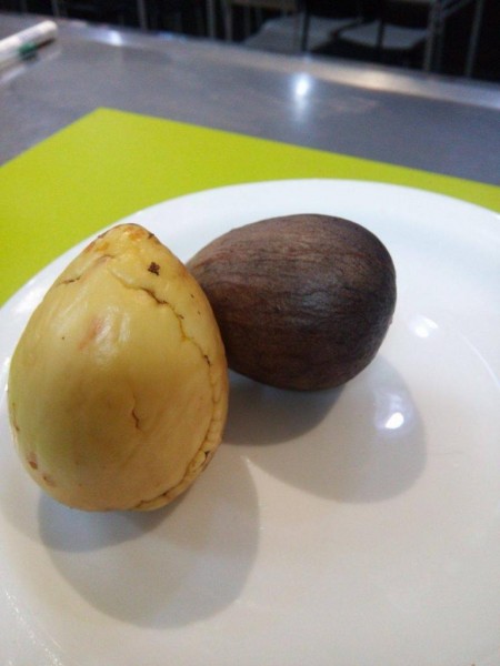 sambure avocado