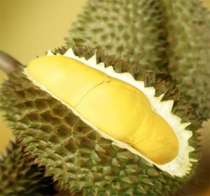 durian