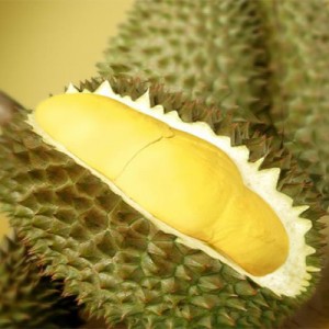 durian