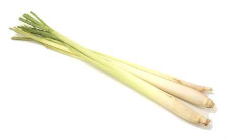 lemongrass