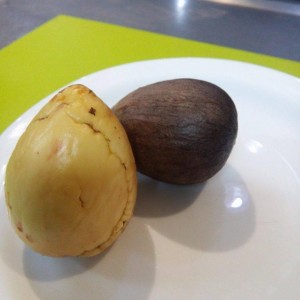 sambure avocado